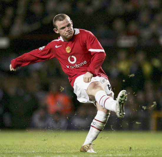 的一定比例 的一定比例