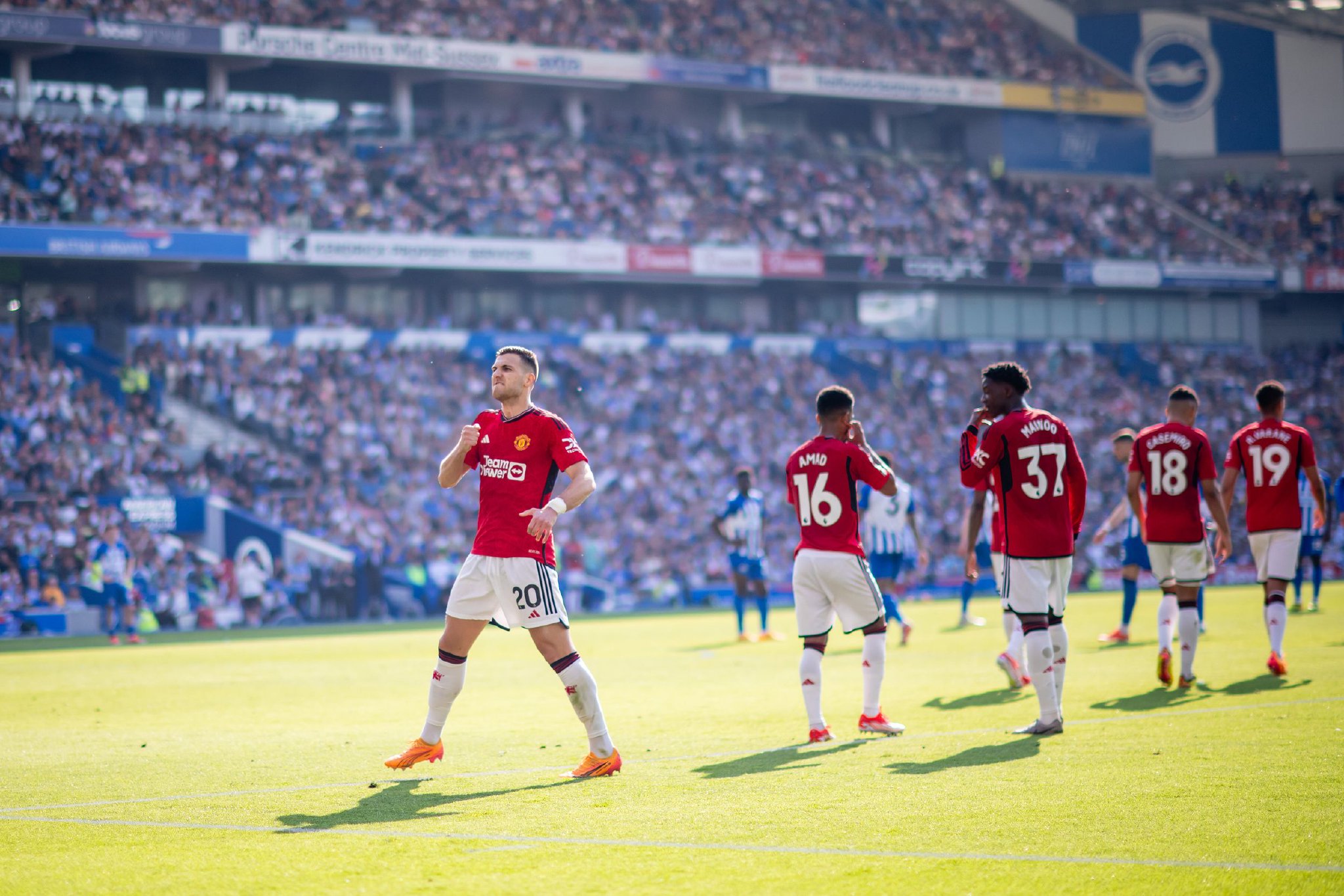 的情感纽带 的情感纽带